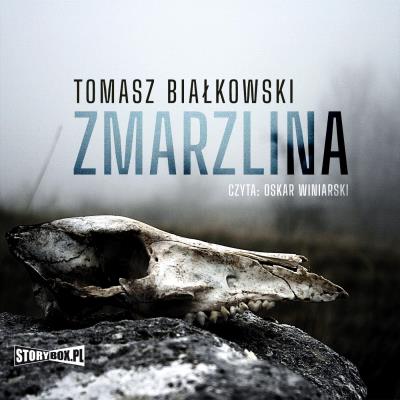 Okładka książki CD Mp3 Zmarzlina