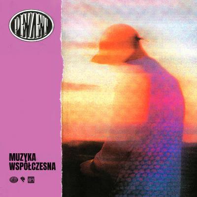 Okładka książki CD Muzyka współczesna