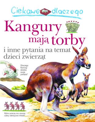 Ciekawe dlaczego kangury mają torby. Autor: Jenny Wood. SmakLiter.pl Okładka książki Ciekawe dlaczego kangury mają torby