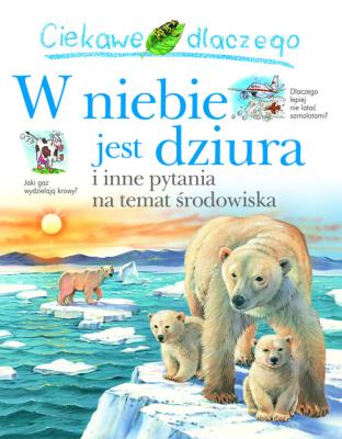 Ciekawe dlaczego w niebie jest dziura. Autor:   Praca zbiorowa. SmakLiter.pl Okładka książki Ciekawe dlaczego w niebie jest dziura