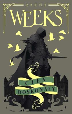 Okładka książki Cień doskonały