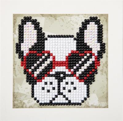 Opakowanie Cool Sunnies Quick Dotz