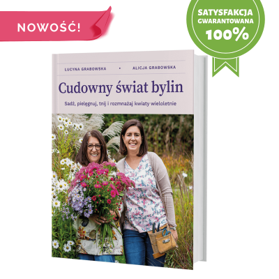 Cudowny świat bylin. Autor: Grabowska Alicja, Grabowska Lucyna. SmakLiter.pl Okładka książki Cudowny świat bylin