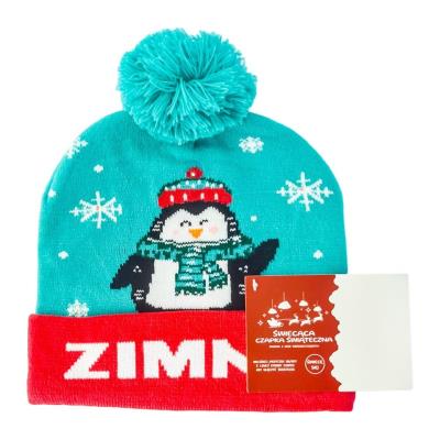 Opakowanie Czapka LED. Zimno