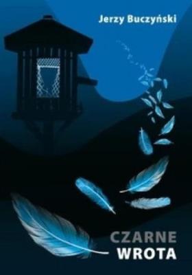 Okładka książki Czarne wrota