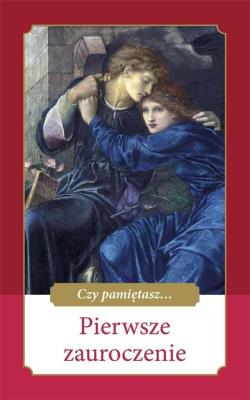 Czy pamiętasz... Pierwsze zauroczenie. Autor: Skarżyńska Ewa. SmakLiter.pl Okładka książki Czy pamiętasz... Pierwsze zauroczenie