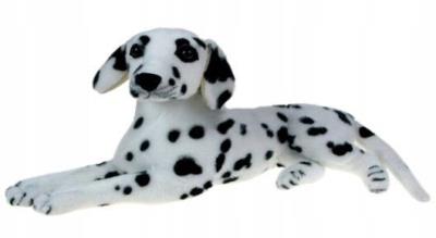 Opakowanie Dalmatyńczyk 47cm