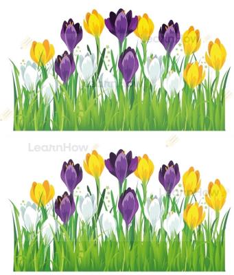 Opakowanie Dekoracja wiosenna - krokusy 2el