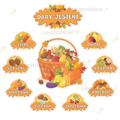 Opakowanie Dekoracje jesienne - Dary jesieni 10el