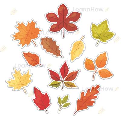 Opakowanie Dekoracje jesienne - duże liście 12el