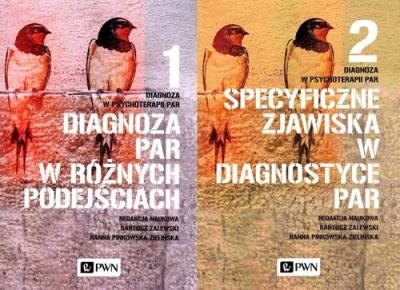 Diagnoza w psychoterapii par Tom 1-2. Autor: Hanna Pinkowska-Zielińska, Bartosz Zalewski. SmakLiter.pl Okładka książki Diagnoza w psychoterapii par Tom 1-2