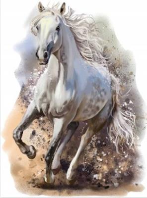 Opakowanie Diamentowa mozaika Biały koń NO-1009428