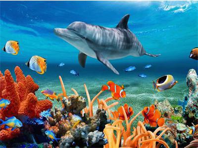 Opakowanie Diamentowa mozaika Delfin na rafie koralowej 60765