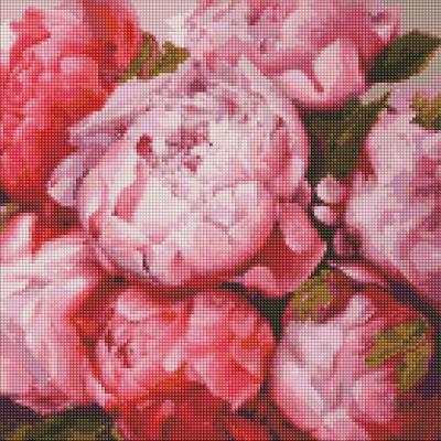 Opakowanie Diamentowa mozaika - Delikatne piwonie 40x40cm