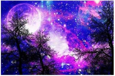 Opakowanie Diamentowa mozaika Fioletowa noc nad drzewami NO-1006979