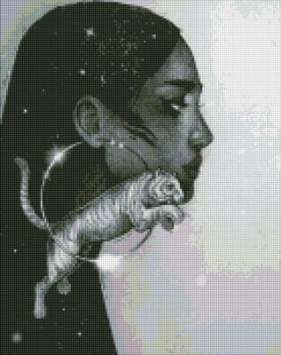 Opakowanie Diamentowa mozaika - Gwiazdozbiór Tygrysa 40x50cm