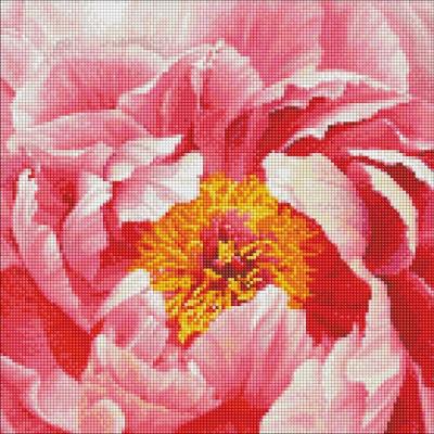 Opakowanie Diamentowa mozaika - Kolorowa piwonia 40x40cm