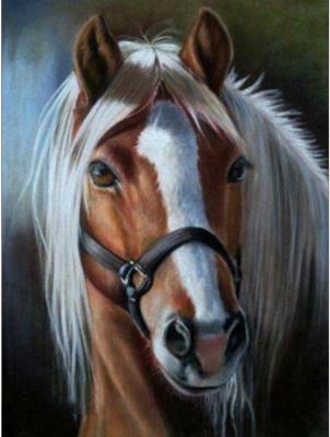 Opakowanie Diamentowa mozaika Koń z jasną grzywą NO-1009222