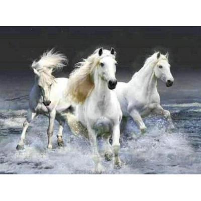 Opakowanie Diamentowa mozaika konie białe NO-1005262