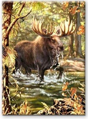 Opakowanie Diamentowa mozaika łoś w lesie NO-1008650