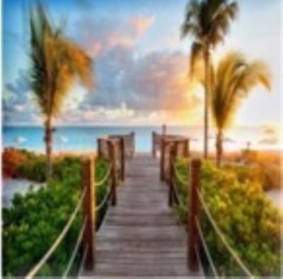 Opakowanie Diamentowa mozaika Most z palmami NO-1008513