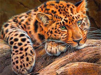 Opakowanie Diamentowa mozaika Pantera 60214