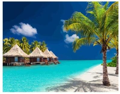 Opakowanie Diamentowa mozaika Plaża z palmami NO-1008037