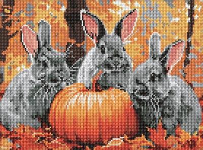 Opakowanie Diamentowa mozaika - Przygody z królikiem 30x40cm