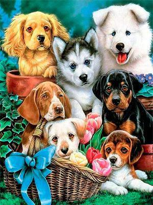 Opakowanie Diamentowa mozaika Psy 60713