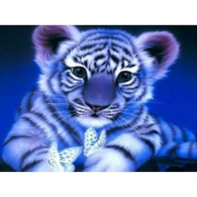 Opakowanie Diamentowa mozaika Tygrysek z motylkiem NO-1004941