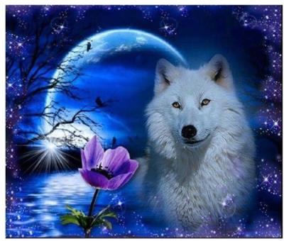 Opakowanie Diamentowa mozaika Wilk i księżyc NO-1009367