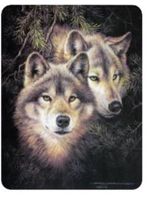 Opakowanie Diamentowa mozaika Wilki w sosnach nocą NO-1007058