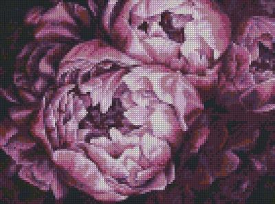 Opakowanie Diamentowy mozaika - Królewskie piwonie 30x40cm