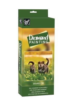 Opakowanie Diamentowy obraz - Kot i pies 30x40cm