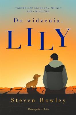 Okładka książki Do widzenia, Lily DL