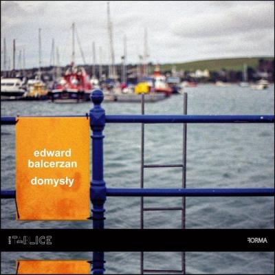 Domysły. Autor: Balcerzan Edward. SmakLiter.pl Okładka książki Domysły