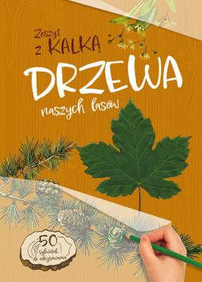 Drzewa naszych lasów. Zeszyt z kalką. Autor: Andżelika Bielańska. SmakLiter.pl Okładka książki Drzewa naszych lasów. Zeszyt z kalką