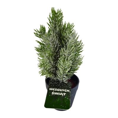 Opakowanie Drzewko świąteczne sztuczne