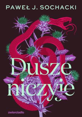 Dusze niczyje. Autor: Sochacki Paweł J.. SmakLiter.pl Okładka książki Dusze niczyje