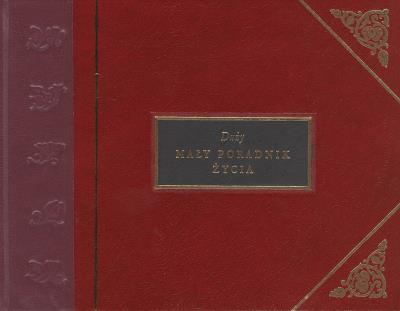 Okładka książki Duży mały poradnik życia