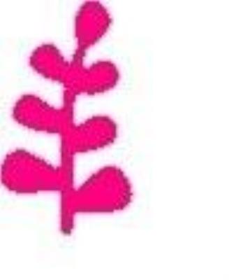 Opakowanie Dziurkacz ozdobny - Gałązka 3,8cm