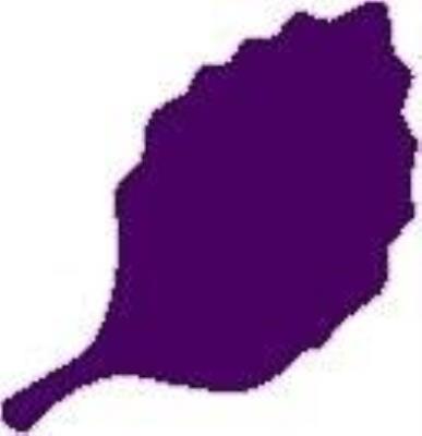 Dziurkacz ozdobny - Liść 7,6cm. Wydawca: Brewis. SmakLiter.pl Opakowanie Dziurkacz ozdobny - Liść 7,6cm