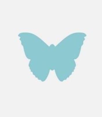 Dziurkacz ozdobny - Motyl 5cm MIX. Wydawca: Brewis. SmakLiter.pl Opakowanie Dziurkacz ozdobny - Motyl 5cm MIX