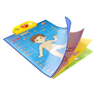 Opakowanie Edukacyjne plakaty - Człowiek