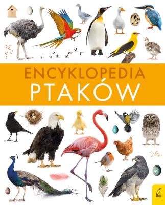 Encyklopedia ptaków. Autor: Paweł Zalewski. SmakLiter.pl Okładka książki Encyklopedia ptaków
