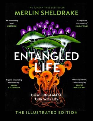 Entangled Life. Autor: Sheldrake Merlin. SmakLiter.pl Okładka książki Entangled Life