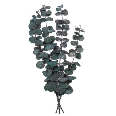 Opakowanie Eukaliptus baby blue 4 gałązki ok. 20cm zielony