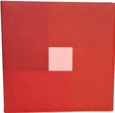 Opakowanie Fotoalbum kieszeniowy klejony czerwony