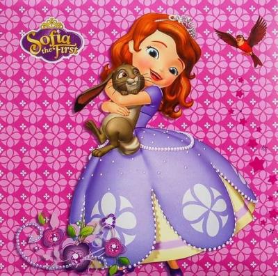 Opakowanie Fotoalbum kieszeniowy klejony Disney