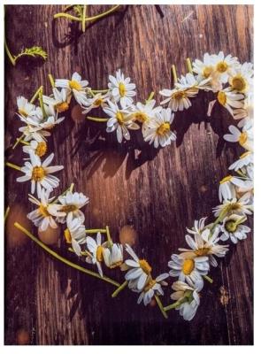 Opakowanie Fotoalbum kieszeniowy szyty Braider 2